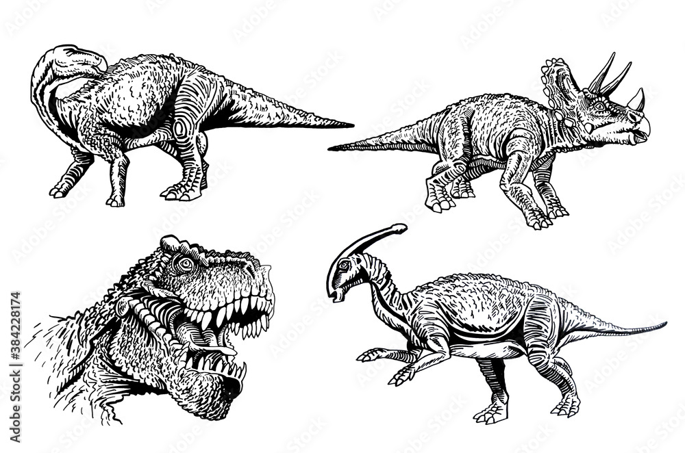 Vector set of dinosaurs on white background, jpg illustration,paleonthology Vector set of dinosaurs on white background, jpg illustration,paleonthology