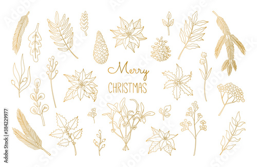 Set of Christmas, New Year plants, poinsettia, pine, berry Laurel in gold colors. Hand drawn floral collection. Vector illustration in Scandinavian doodle style isolated on white background. photo