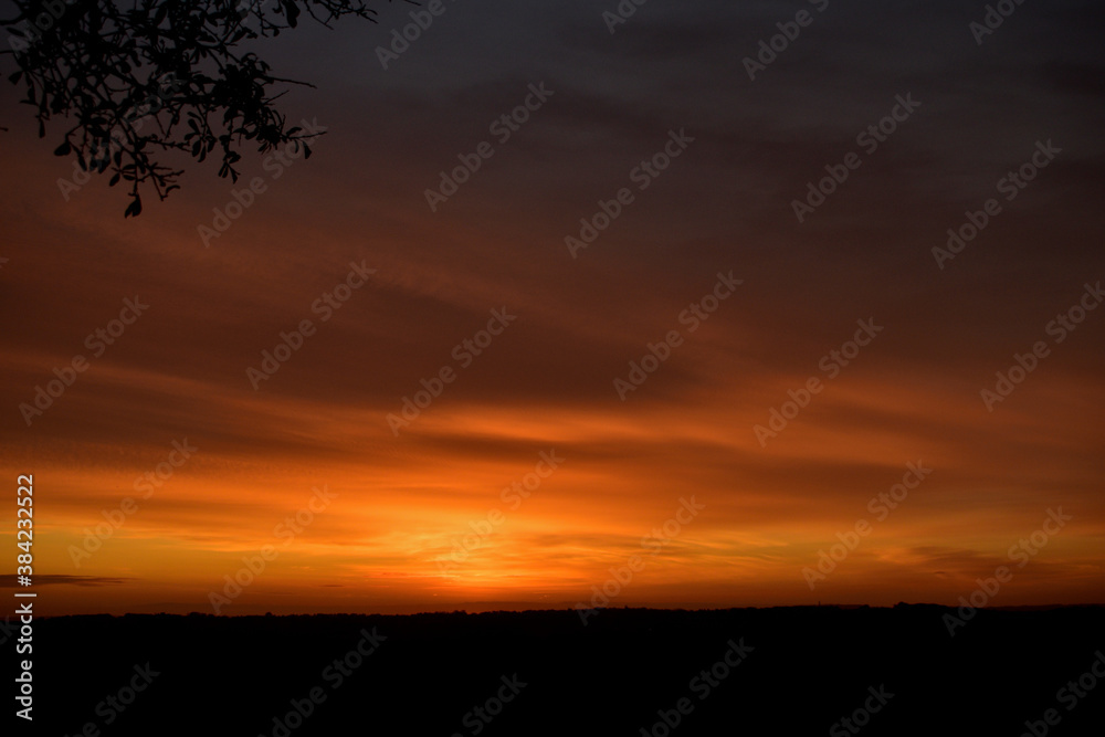 sunrise tree sunrise tree