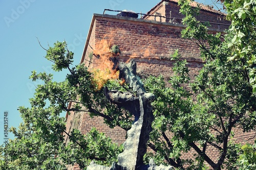 dragon spits fire, wawel Krakow Poland
