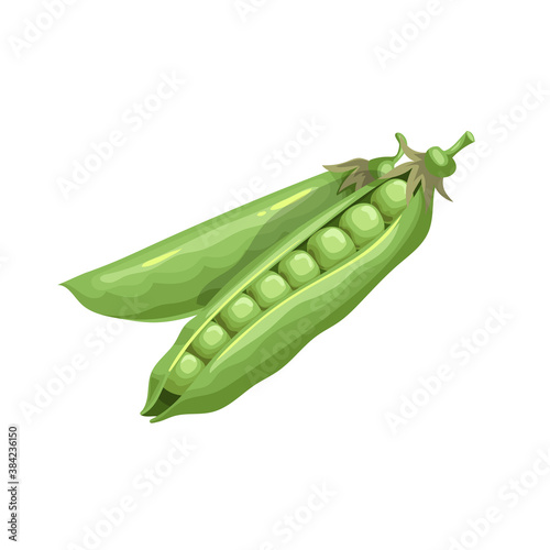 Cartoon green peas. Vegetable group. Fresh farm product. Eco nutrition. Vector illustration isolated on white background.
