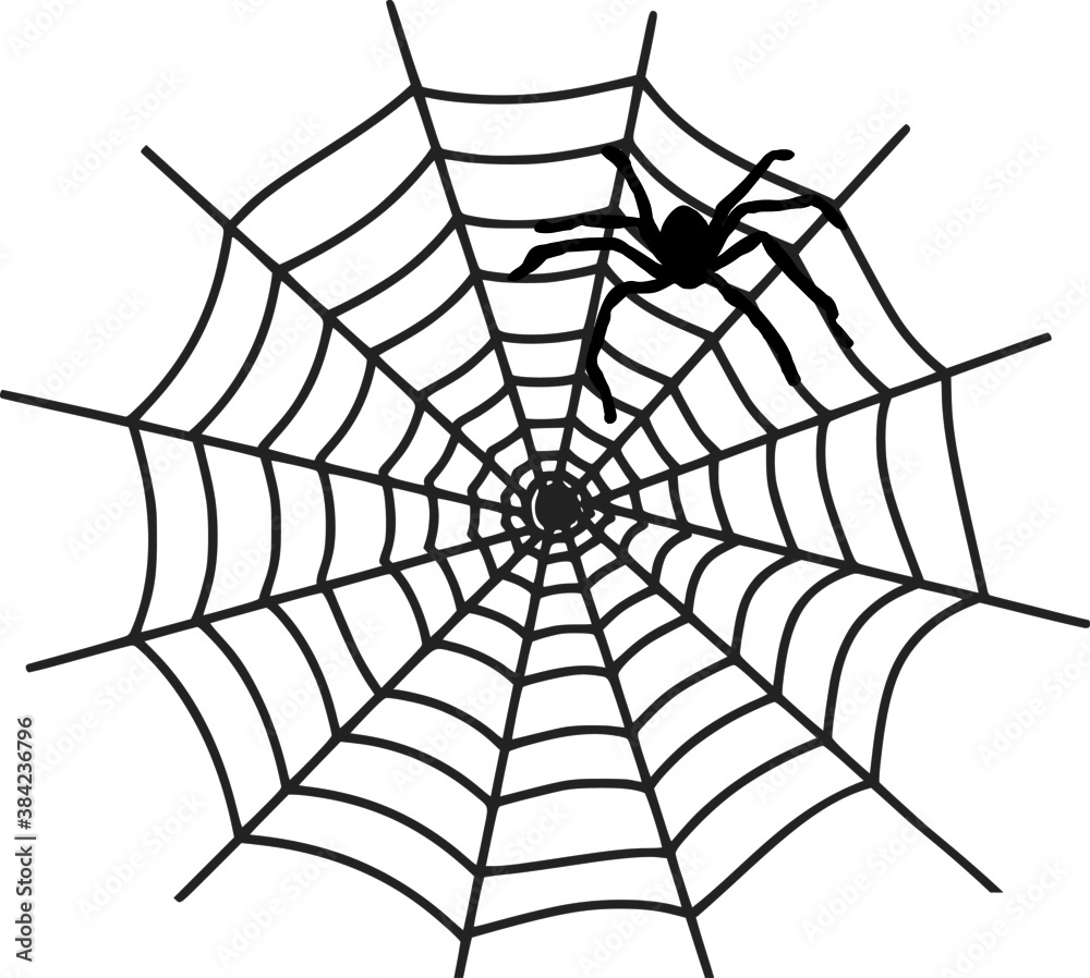 SPIDER WEB Nature Silhouette Vector