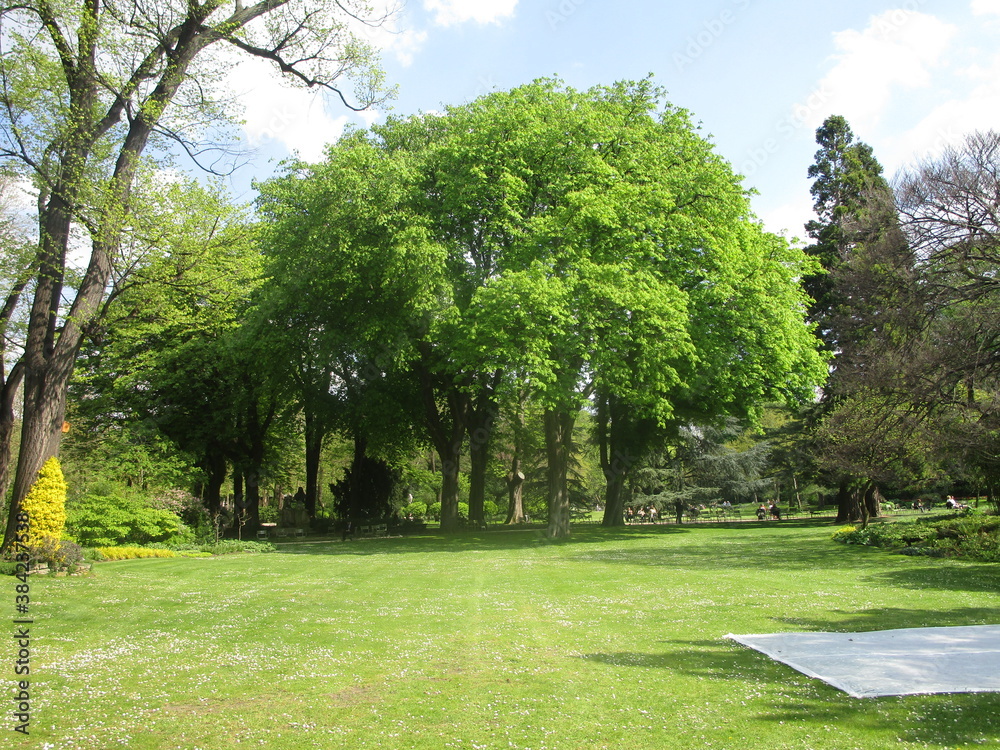 Prairie vue sur arbre au jardin du luxembourg Prairie vue sur arbre au jardin du luxembourg