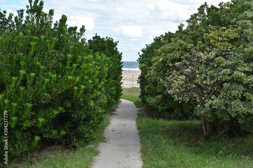 path in the beach