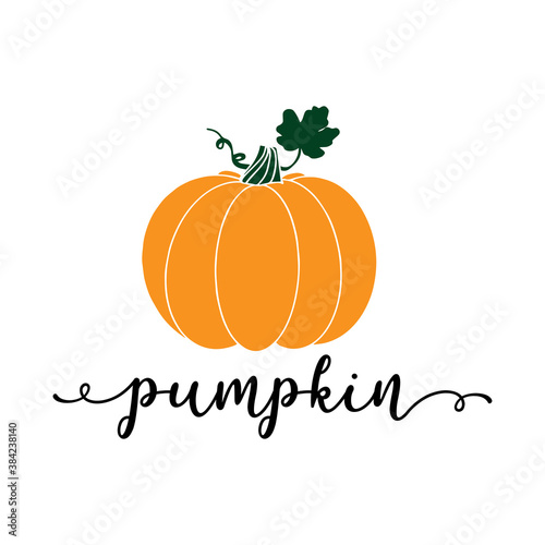 Hand lettered PUMPKIN word with gourd. Lettering for poster, label, sticker, flyer, header, card, advertisement, announcement..