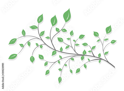 Tree branch with green leaves in a light style on a white background