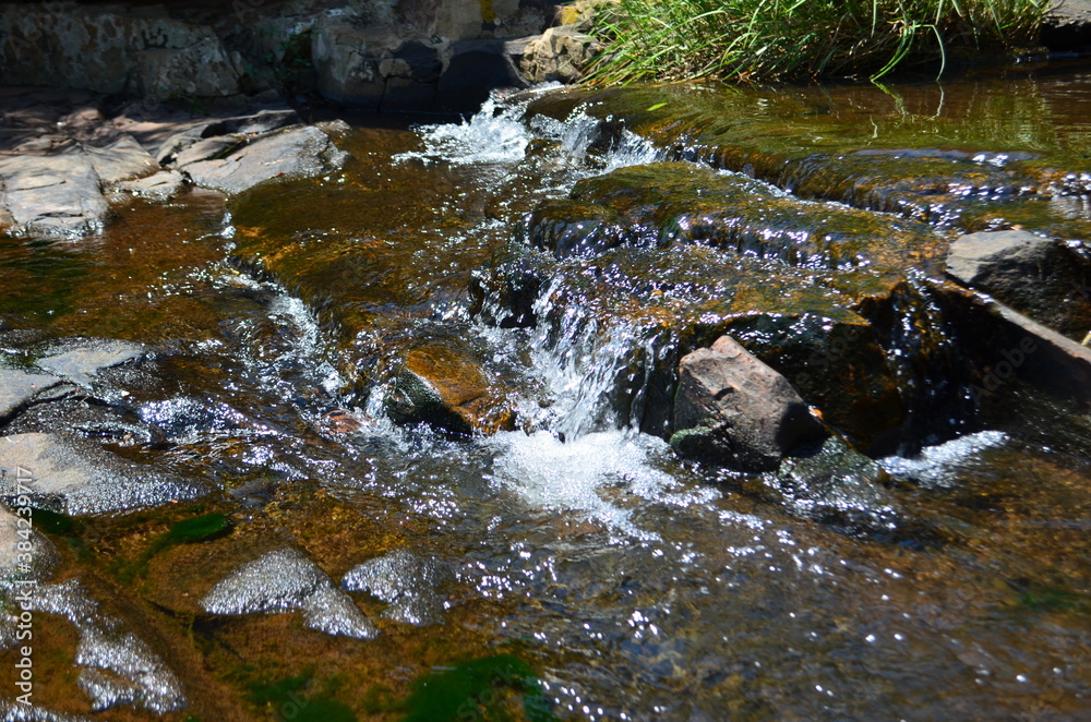 Fototapeta premium waterfall in the forest