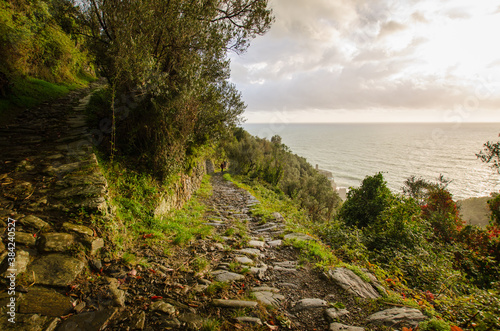 Wanderweg am Meer