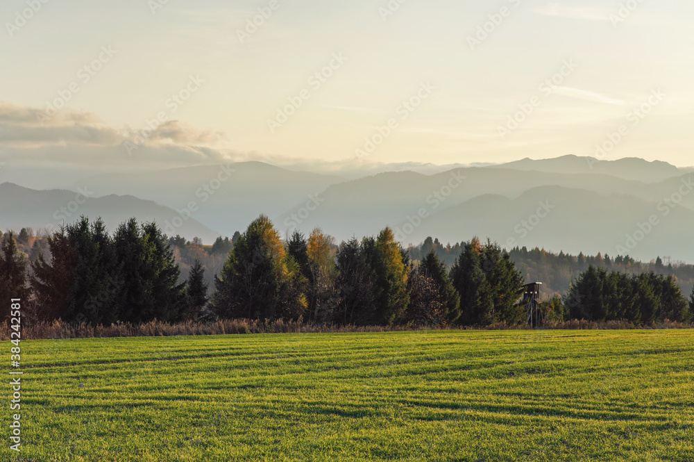 Meadow with small forest and hunters wooden high stand on autumn evening, some mountains in distance