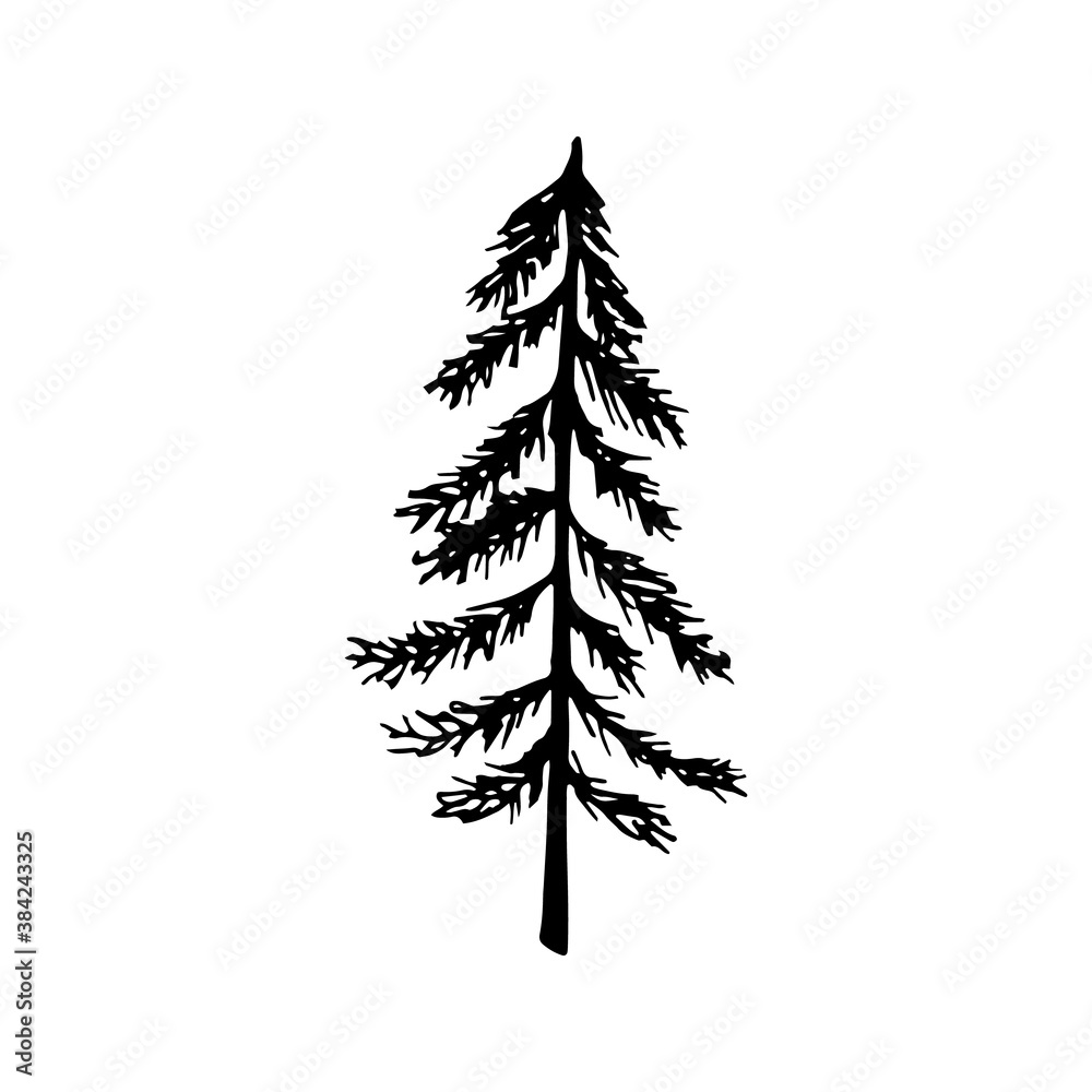 Obraz premium Single hand drawn New Year and Xmas pine tree. Doodle vector illustration for winter greeting cards, posters, stickers and seasonal design.