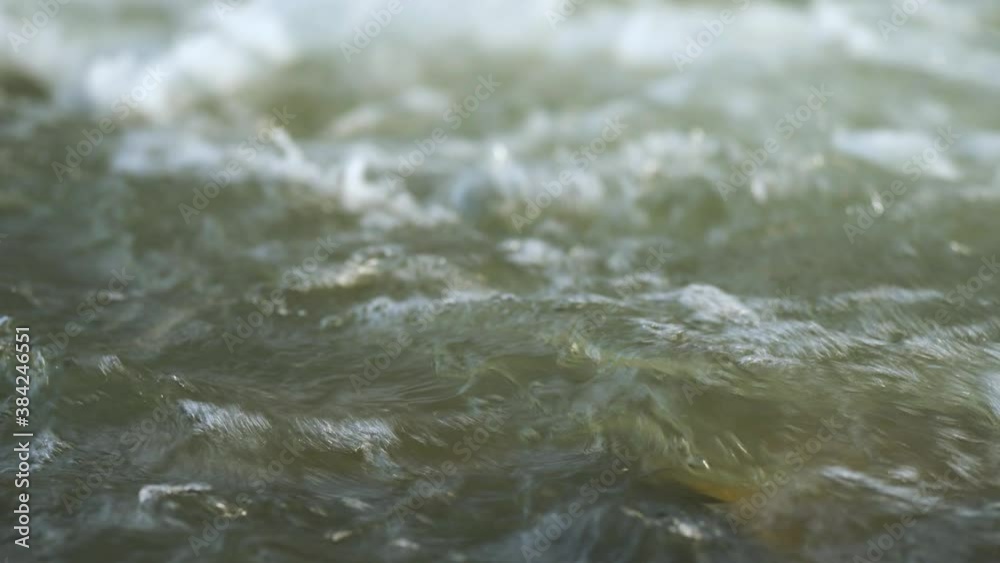 Closeup detail, water flowing in river on sunny day forming white waves Closeup detail, water flowing in river on sunny day forming white waves