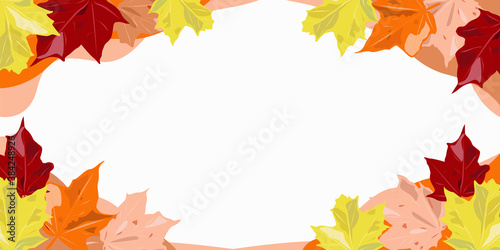 Background with autumn maple leaves orange and yellow