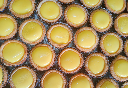 egg tart