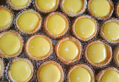 egg tart