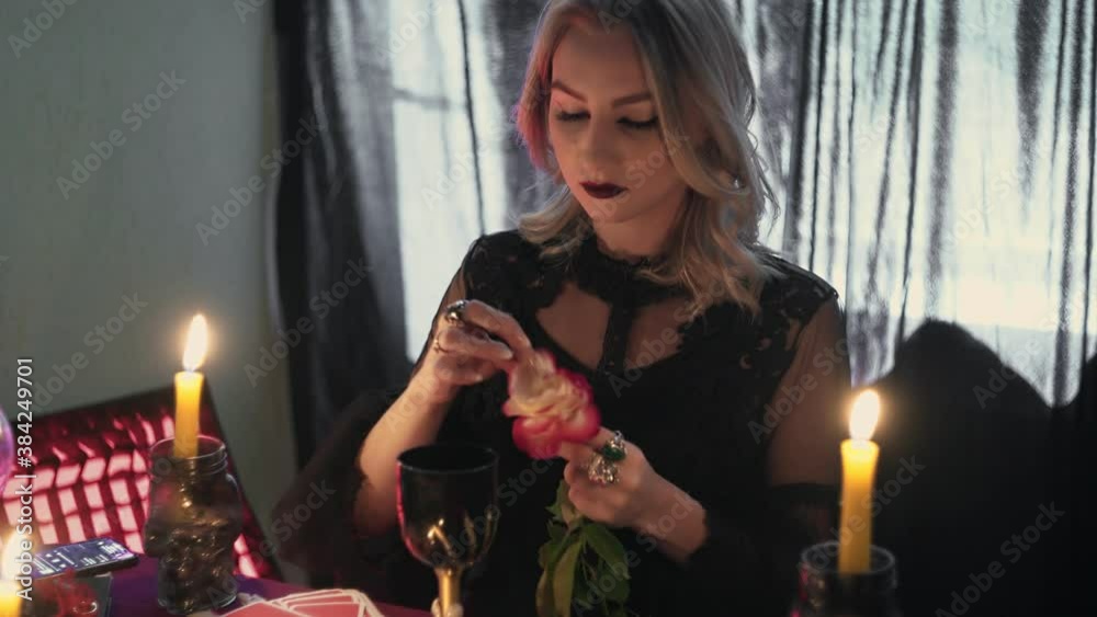 Witch fortune teller psychic picks the petals from a rose, throws them into magic glass and drinks Witch fortune teller psychic picks the petals from a rose, throws them into magic glass and drinks