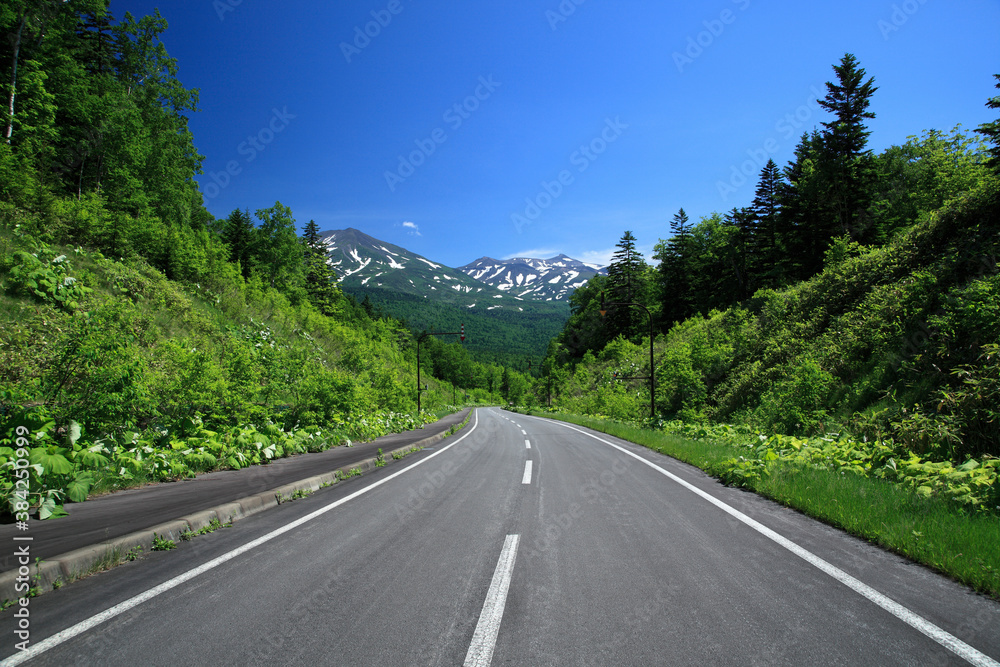 Naklejka premium 十勝岳へ続く道