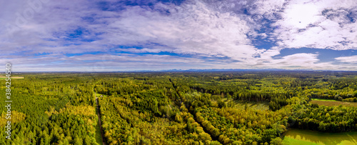 Wide angle aerial drone panorama of beautiful fall foliage in the forest in front of the bavarian alps under the blue sky.