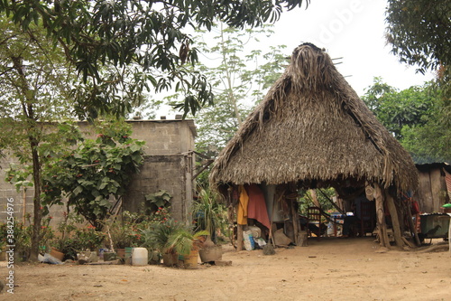 thatched roof house