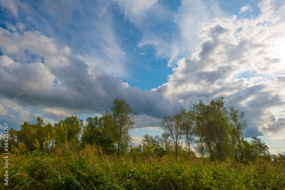 Dark, gray and white rain clouds and a blue sky over a windy rainy city in bright sunlight in autumn, Almere, Flevoland, The Netherlands, October 9, 2020