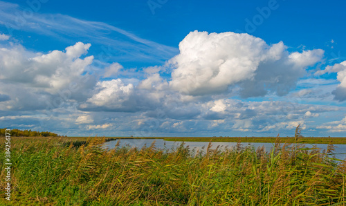 Dark, gray and white rain clouds and a blue sky over a windy rainy city in bright sunlight in autumn, Almere, Flevoland, The Netherlands, October 9, 2020
