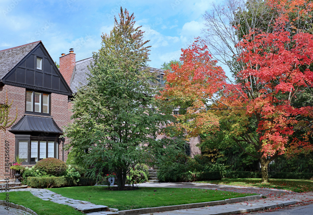Residential street with maple trees in fall colors