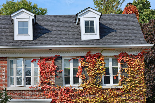 Traditional two story brick house with ivy in fall colors