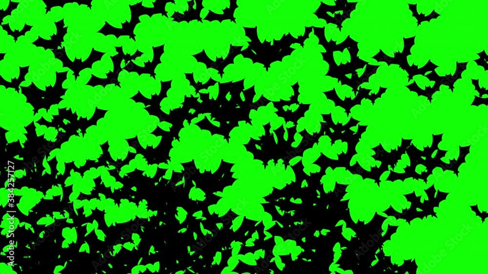A swarm of Halloween bats flying and filling the green screen. A swarm of Halloween bats flying and filling the green screen.