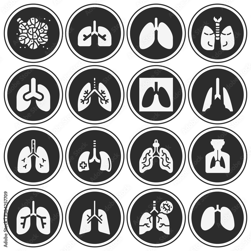 Fototapeta premium 16 pack of bronchial tubes filled web icons set