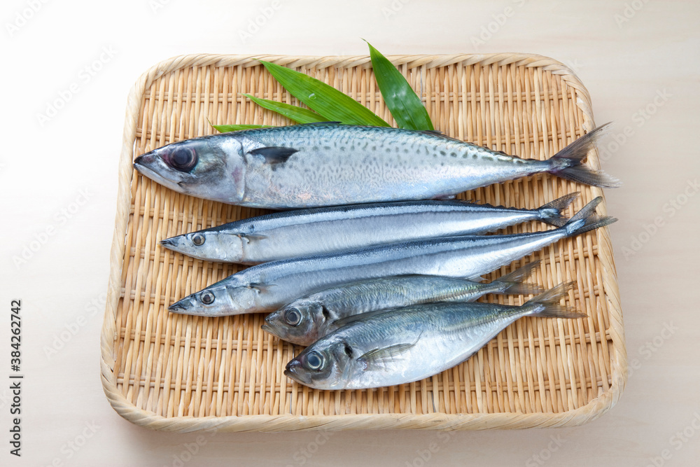 鮮魚 鮮魚