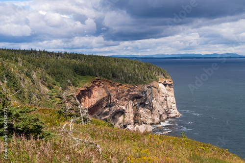 Beautiful view of a cliff on Bonaventure island, Quebec
