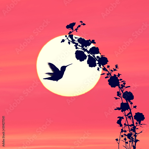 Flowers silhouette and a hummingbird against  sunset