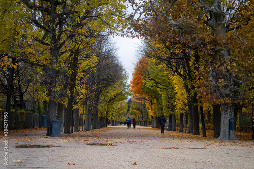Canvas Print Vienna