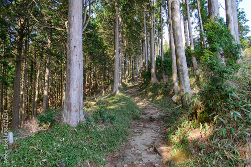 和歌山県は世界遺産熊野古道の山道