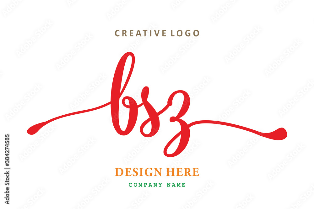 pharmacy logo composition of the letter BSZ is simple, easy to understand and authoritative pharmacy logo composition of the letter BSZ is simple, easy to understand and authoritative
