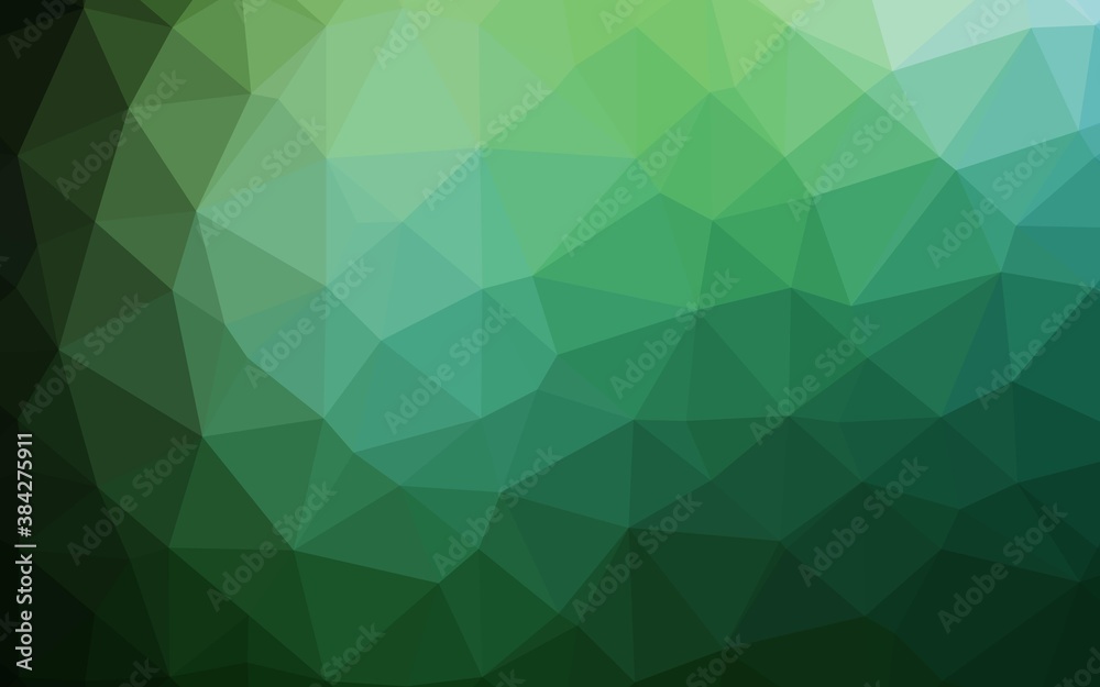 Dark Green vector low poly layout. Dark Green vector low poly layout.