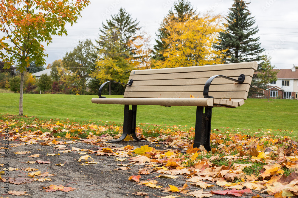Autumn in the park. Fallen leaves near bench and road in a local park with houses and trees in the background Autumn in the park. Fallen leaves near bench and road in a local park with houses and trees in the background