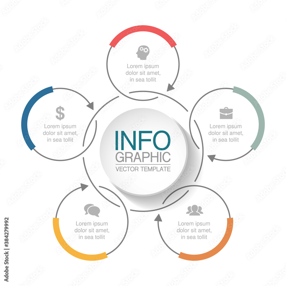 Vector infographic template, circle with 5 steps or options. Data presentation, business concept design for web, brochure, diagram. Vector infographic template, circle with 5 steps or options. Data presentation, business concept design for web, brochure, diagram.