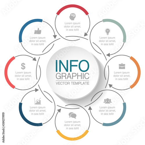 Vector infographic template, circle with 8 steps or options. Data presentation, business concept design for web, brochure, diagram.