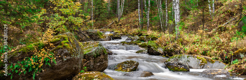 Autumn nature of the Altai mountains in the resort of Belokurikha