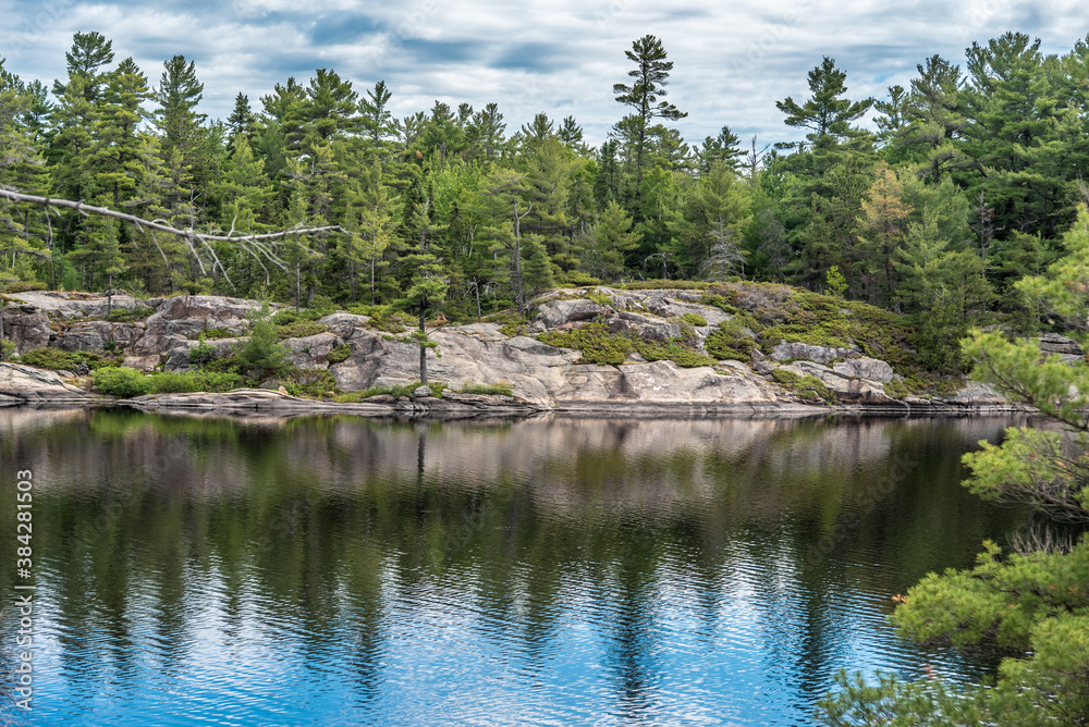 Fototapeta premium Forest lake