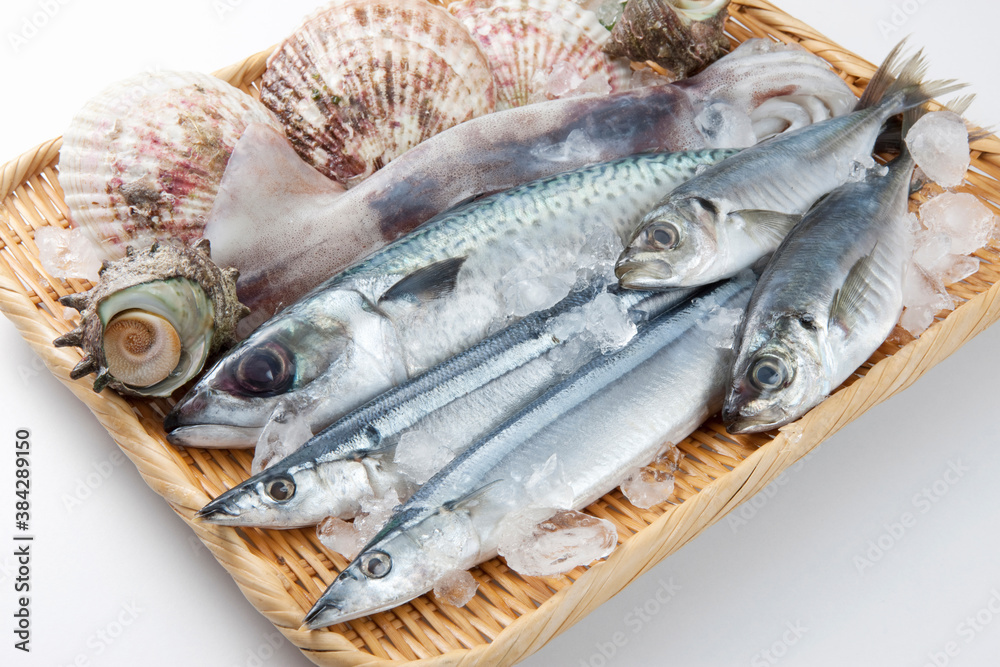 魚介盛り合わせ 魚介盛り合わせ