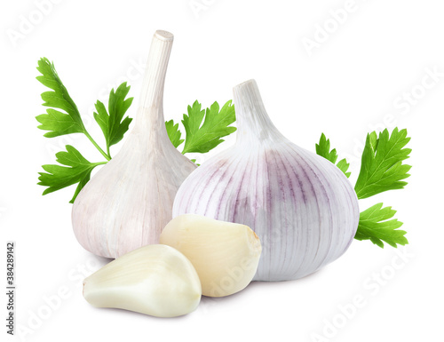 Fresh garlic with parsley on white background
