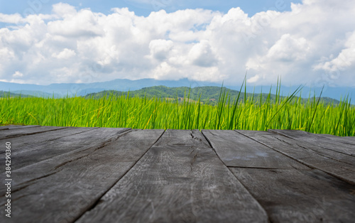 old brown wooden floor beside green rice field with cloud sky and copy space use for background concept natural