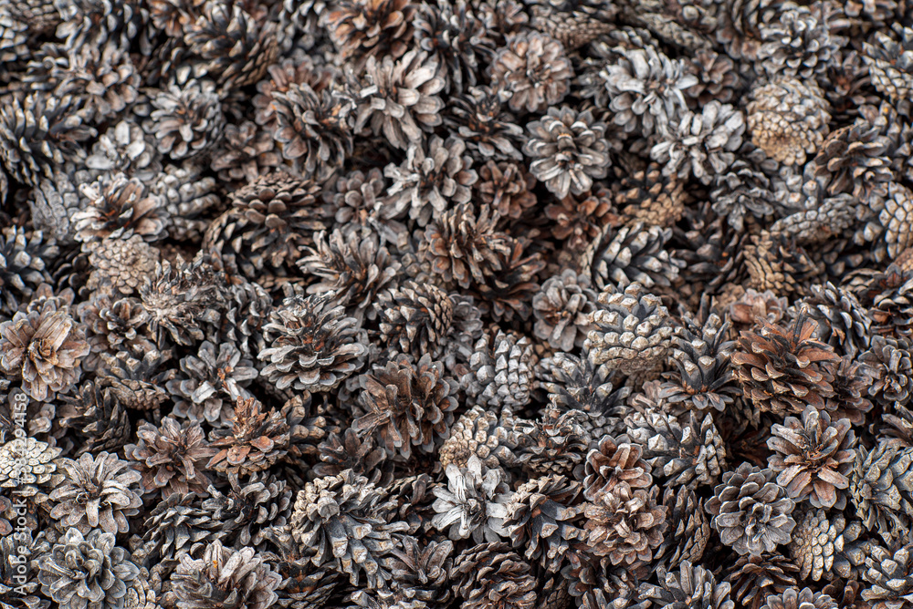 cones in the garden, organic mulch cones in the garden, organic mulch