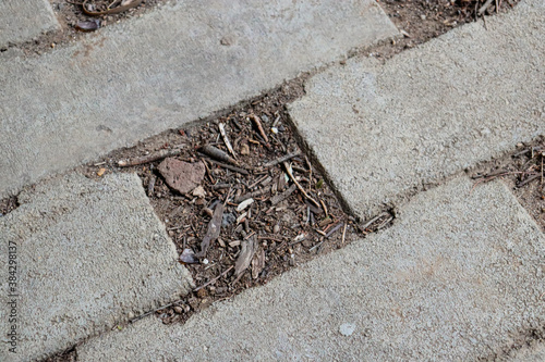 Wallpaper Mural pavers laid on the soil Torontodigital.ca