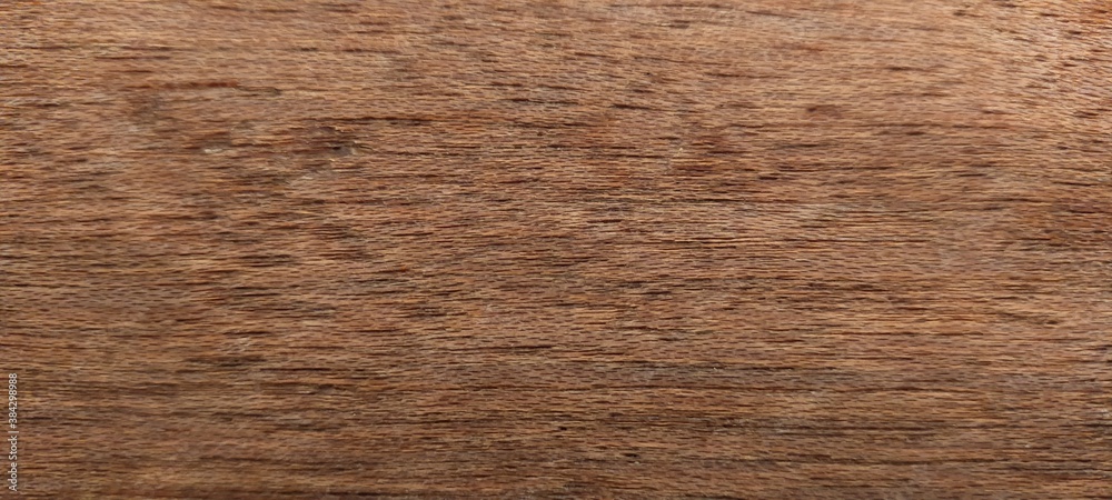 Fototapeta premium Wood texture background