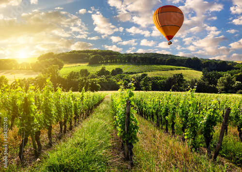 Hot air balloons over a vineyard at sunset  France