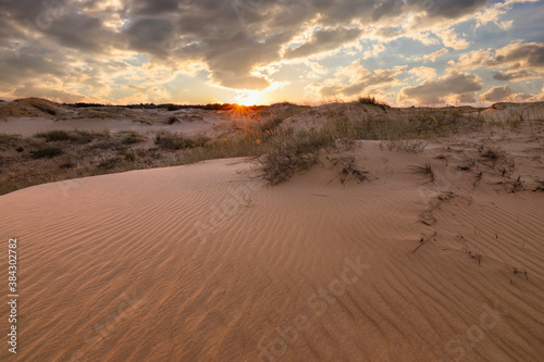 Sunset over the sand dunes in the desert. Arid landscape of the Sahara desert © Anton Petrus