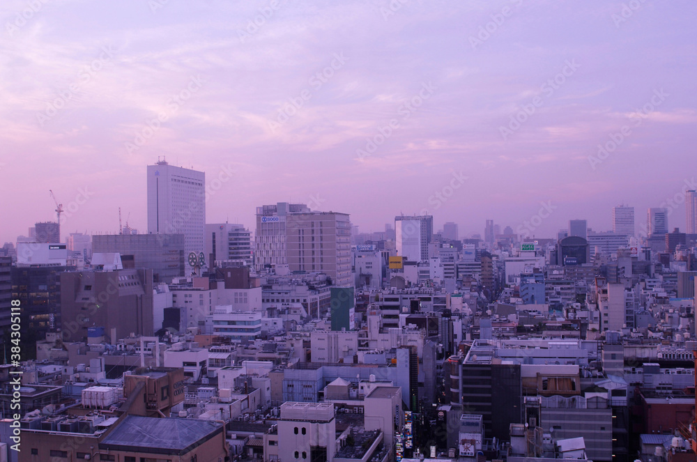 大阪市南部の眺望