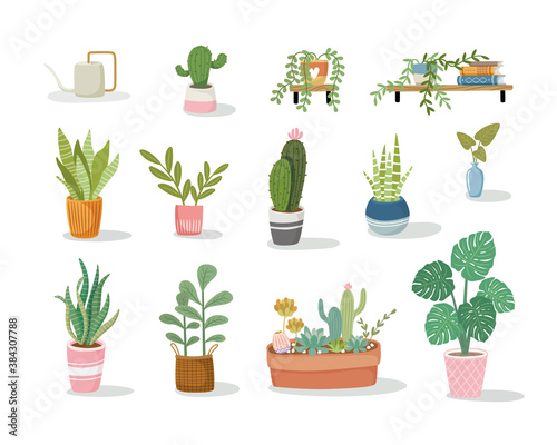 Set of house plant vector flat illustration